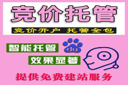SEM推广优化策略：成功案例解析